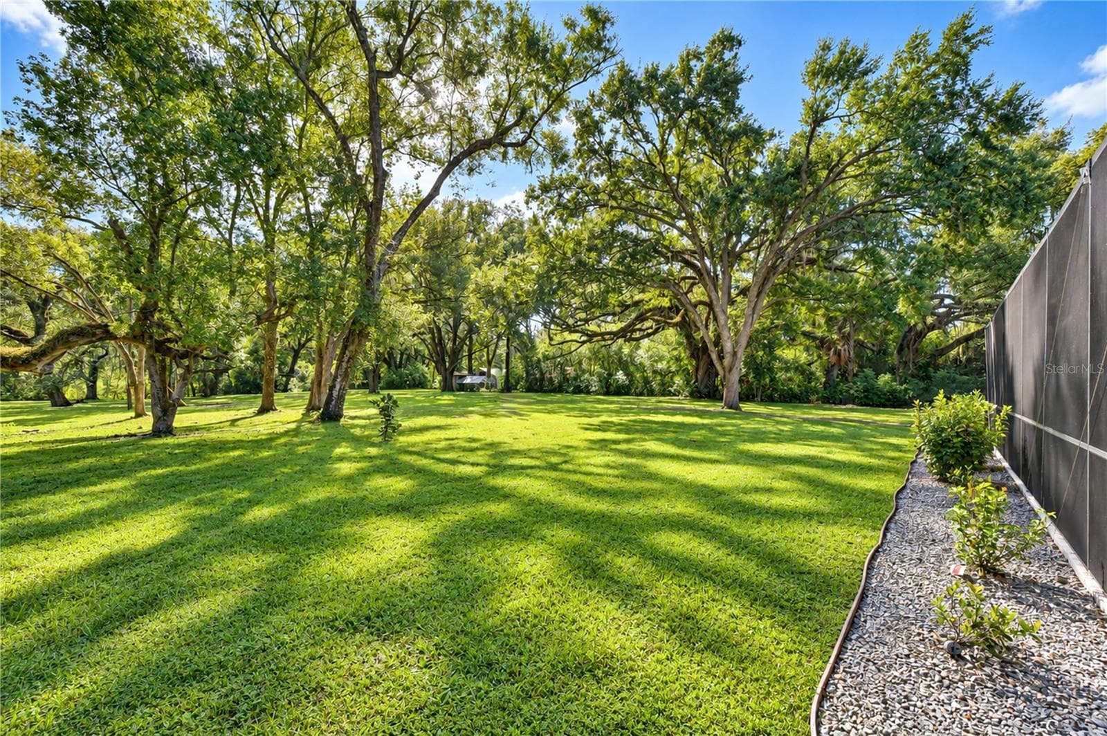 Gorgeous Backyard - 5746 FRONTIER DR, ZEPHYRHILLS