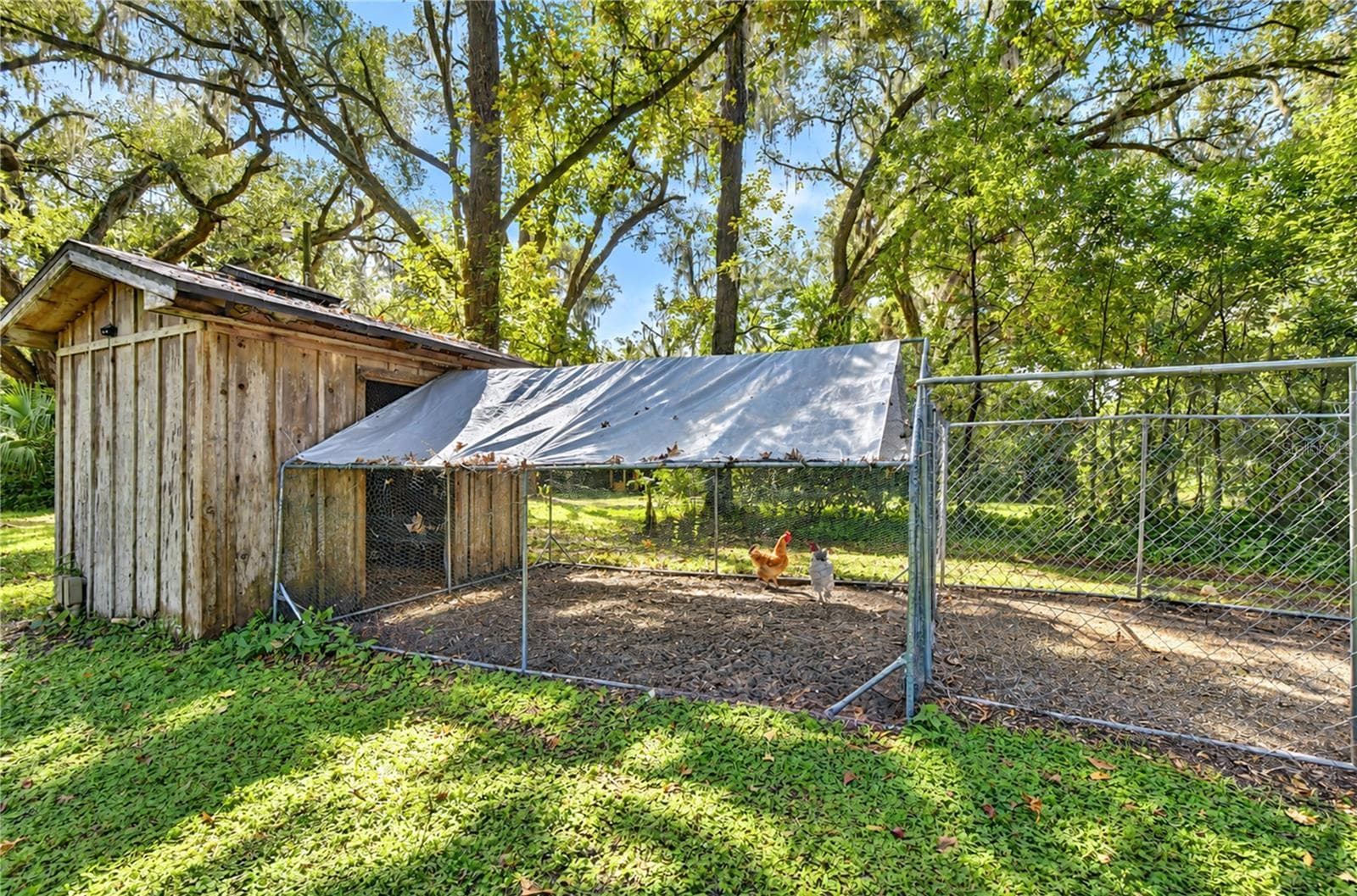 Chicken Coop - 5746 FRONTIER DR, ZEPHYRHILLS