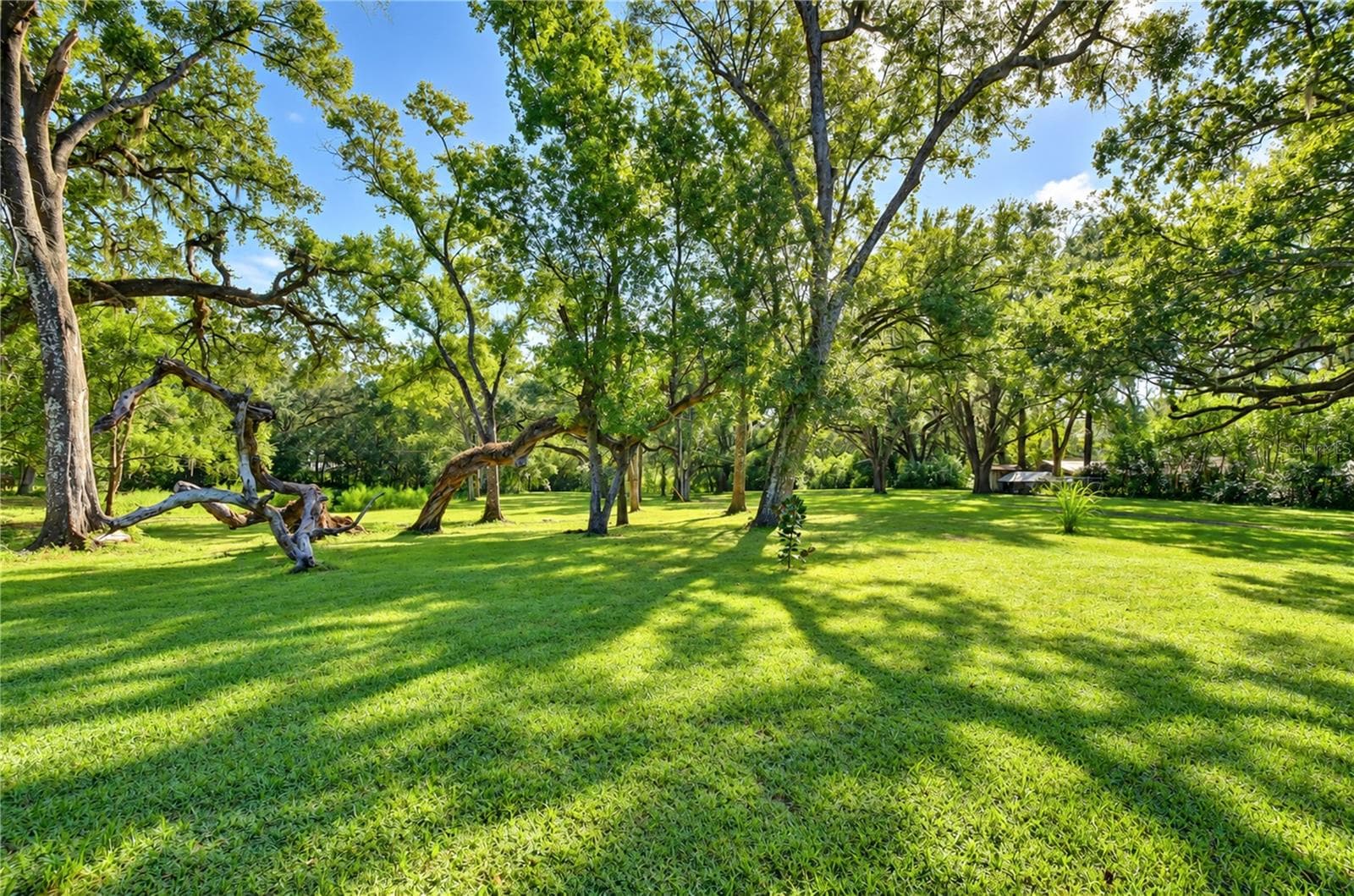 Rear Yard - 5746 FRONTIER DR, ZEPHYRHILLS