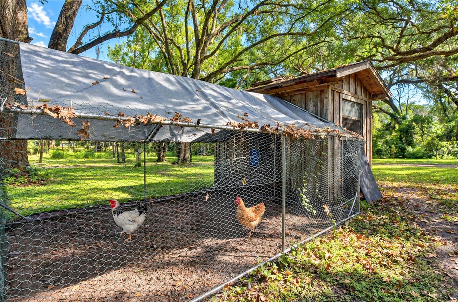 Chicken house - 5746 FRONTIER DR, ZEPHYRHILLS