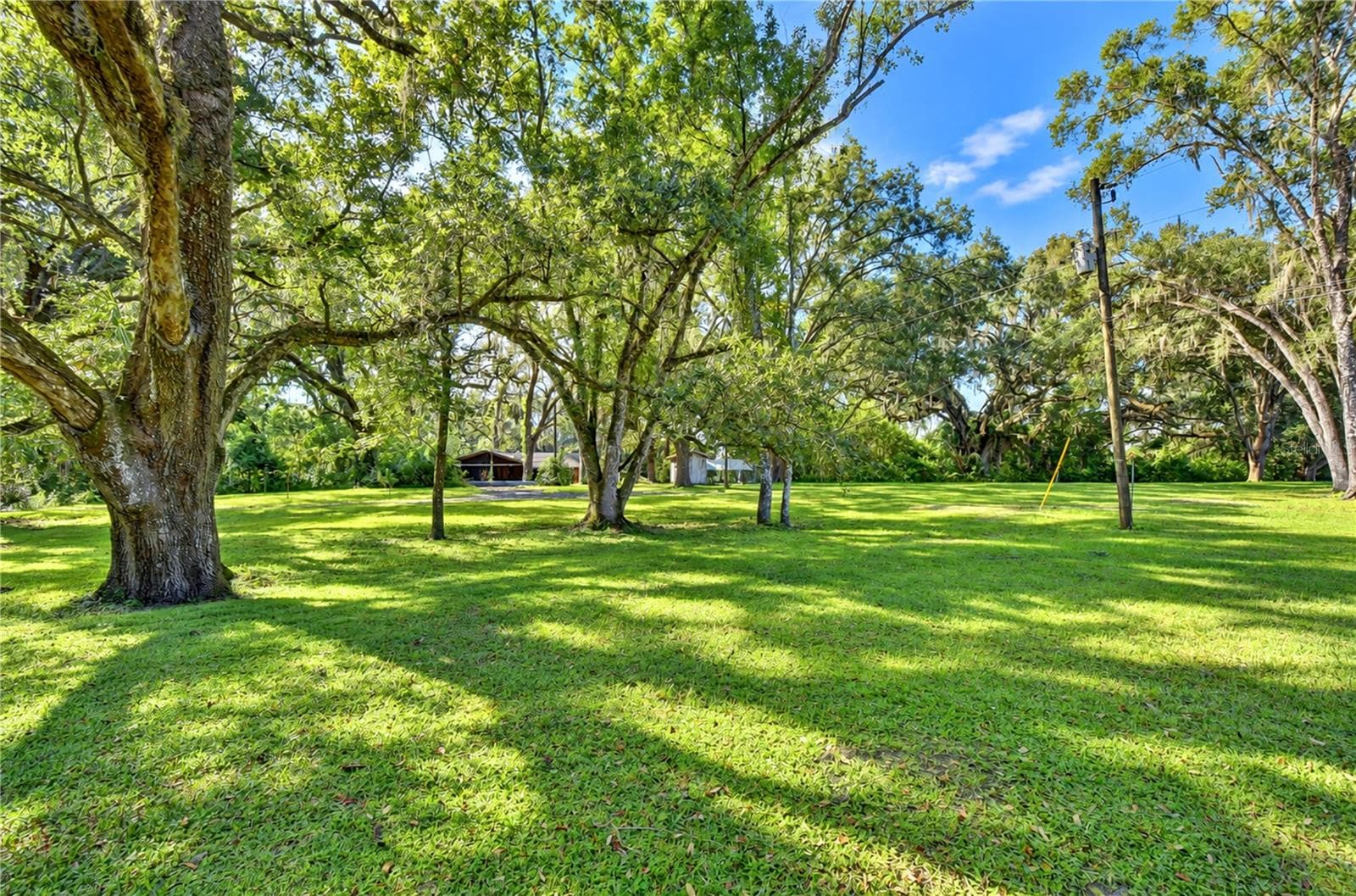Private Backyard - 5746 FRONTIER DR, ZEPHYRHILLS