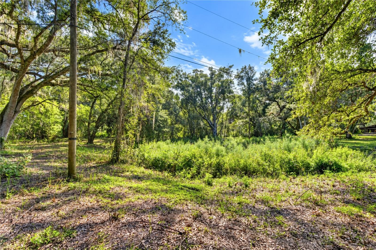 Extra Lot - 5746 FRONTIER DR, ZEPHYRHILLS