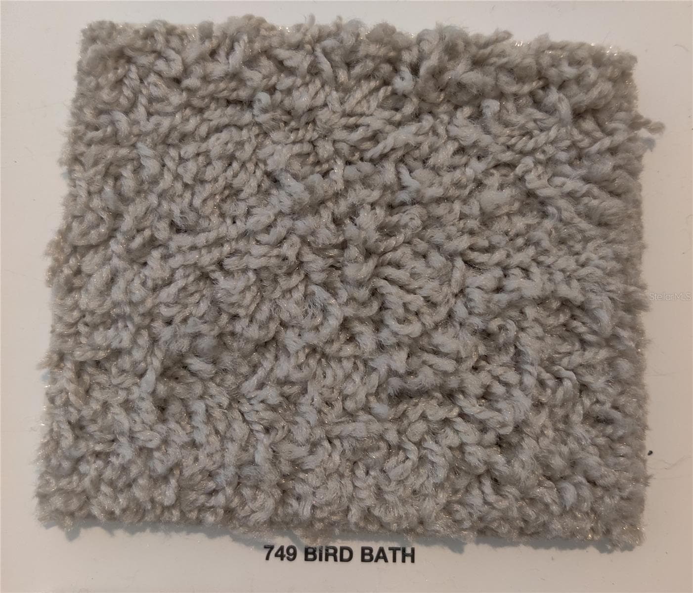 Carpet Color - 16275 KAKAWI RD, WEEKI WACHEE