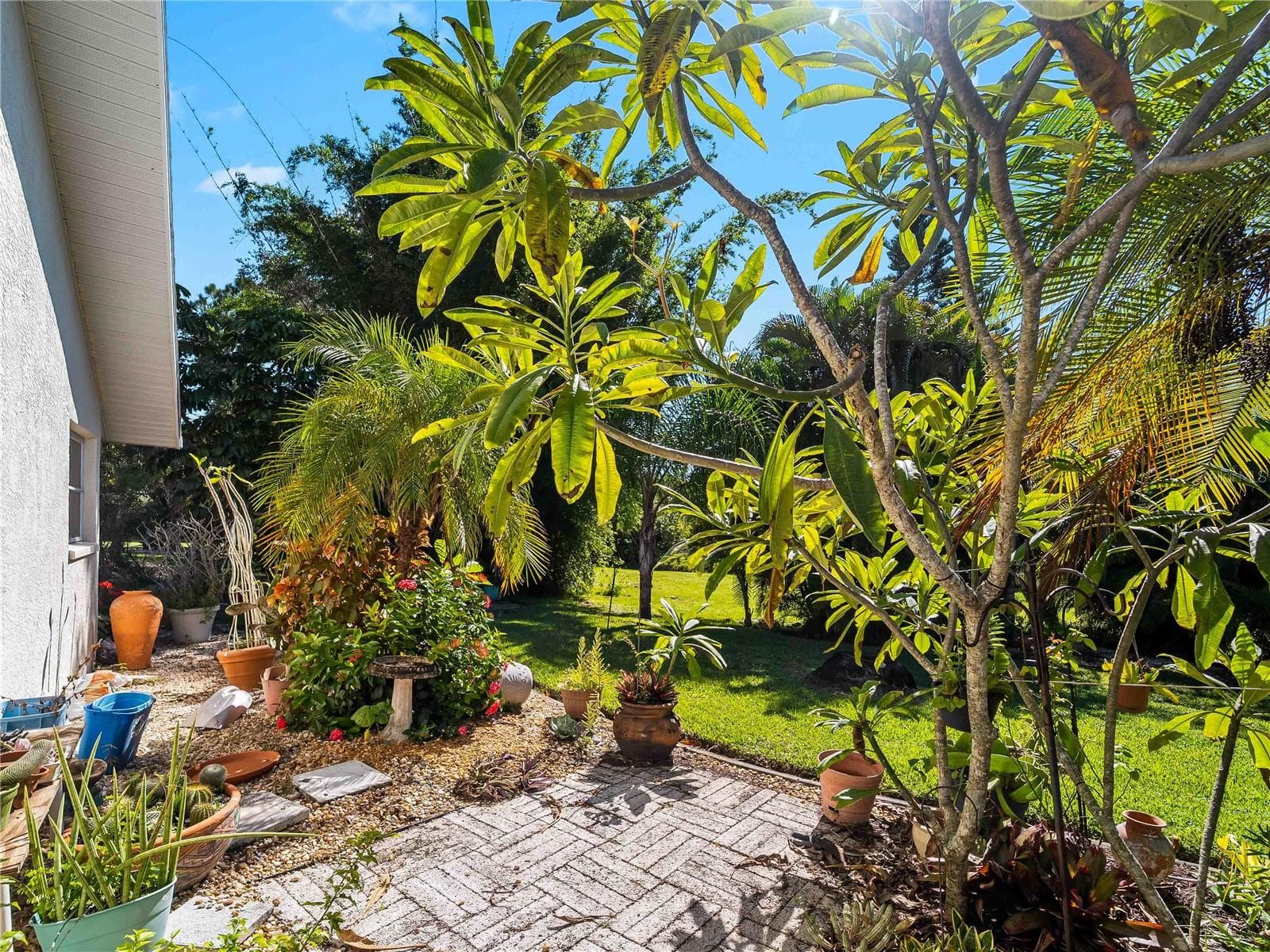 Backyard_134TocopillaStreet_PuntaGorda_TropicalLandscaping_Detail.jpg - 134 TOCOPILLA ST, PUNTA GORDA