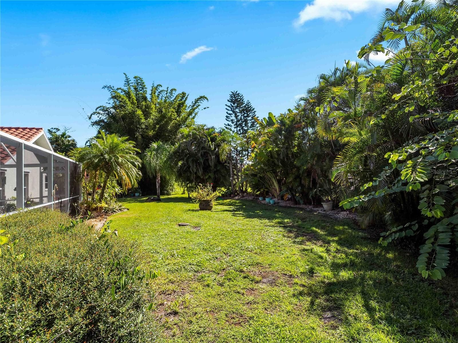 Backyard_134TocopillaStreet_PuntaGorda_SpaciousLawn_Daylight.jpg - 134 TOCOPILLA ST, PUNTA GORDA