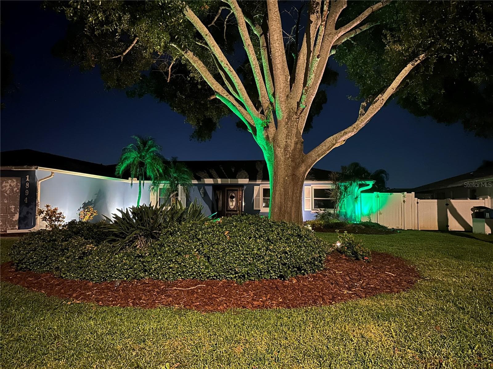 Single Family Residence at 1894 TANGLEWOOD DR NE, ST PETERSBURG, photo 54 of 58