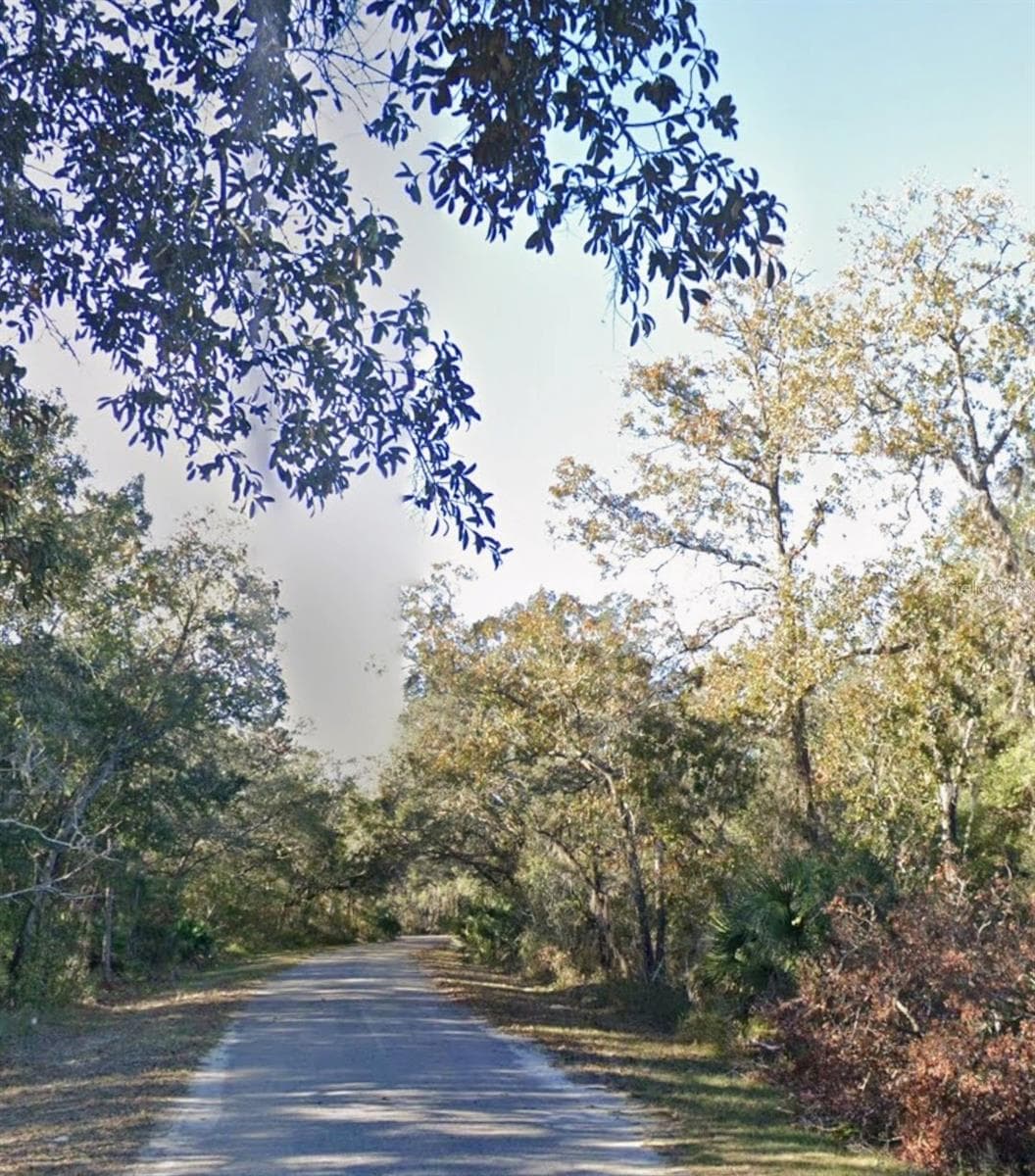 Land at LOT 15 FISHER LN WAY, OCKLAWAHA, photo 2 of 5