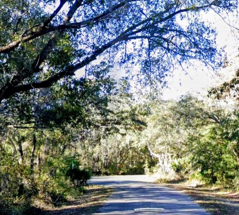 Land at LOT 15 FISHER LN WAY, OCKLAWAHA, photo 3 of 5