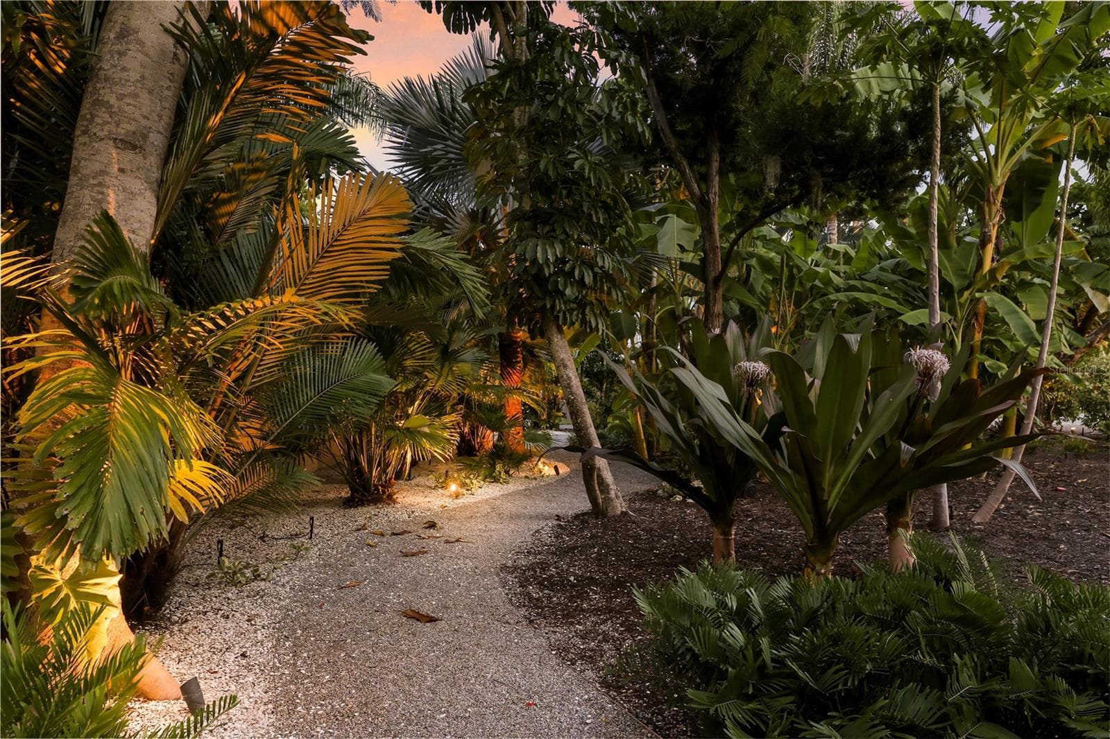 Beautiful butterfly garden and sanctuary - 6561 BAYOU HAMMOCK RD, LONGBOAT KEY