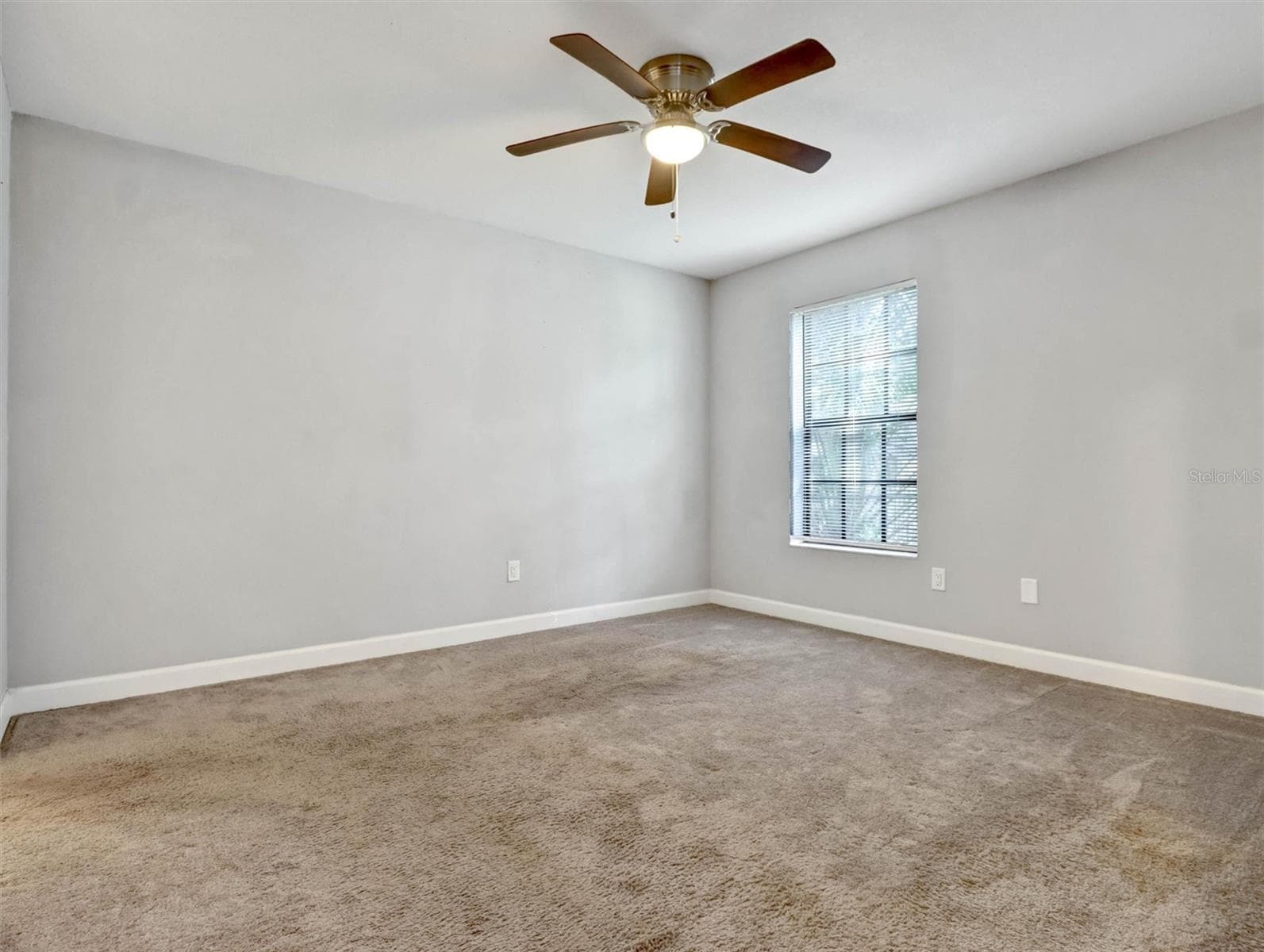 Spacious Primary Bedroom 1 - 1612 E NORTH BAY ST, TAMPA