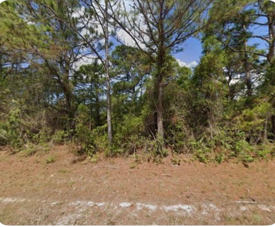 Land at 7383 TALLEY ST, PORT CHARLOTTE, photo 2 of 2