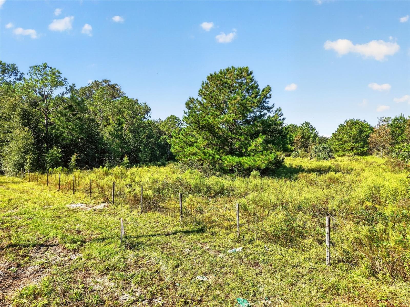 Land at 7700 SW 77TH ST, GAINESVILLE, photo 5 of 27