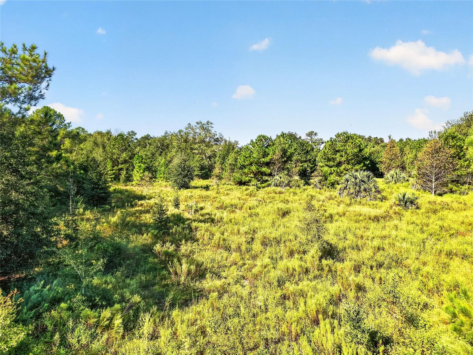 Land at 7700 SW 77TH ST, GAINESVILLE, photo 6 of 27