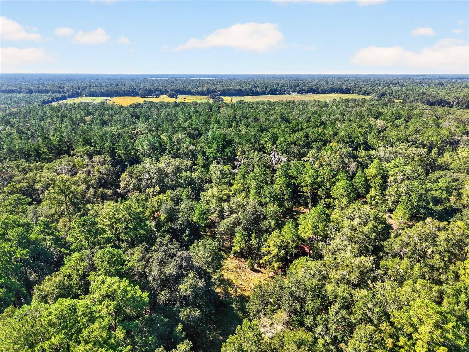 Land at 7700 SW 77TH ST, GAINESVILLE, photo 20 of 27