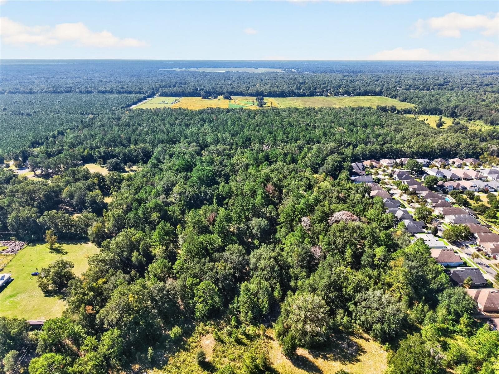 Land at 7700 SW 77TH ST, GAINESVILLE, photo 24 of 27