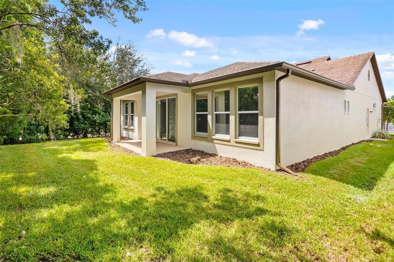Exterior back - 4432 VERMILLION SKY DR, WESLEY CHAPEL