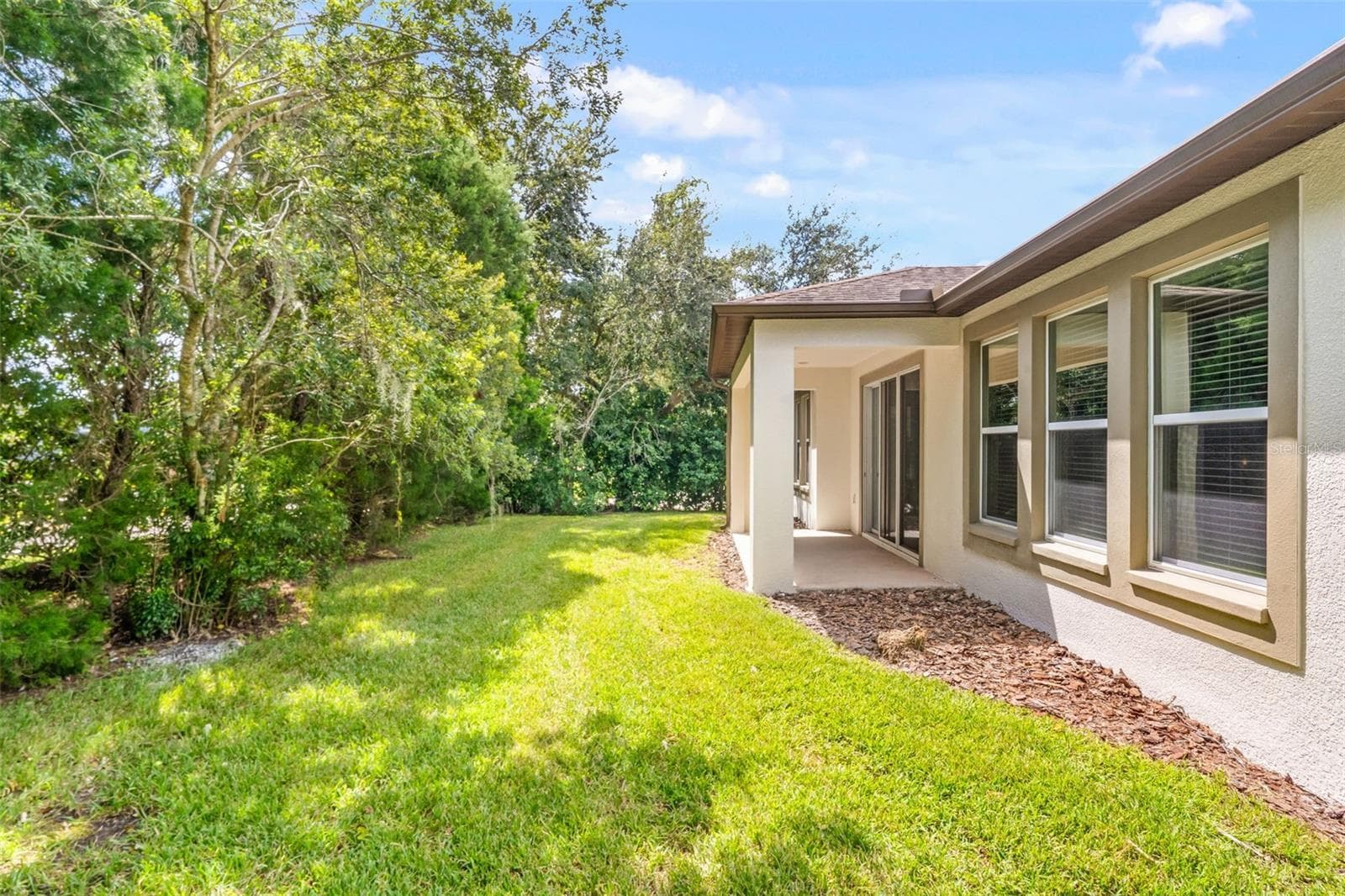 Exterior back yard - 4432 VERMILLION SKY DR, WESLEY CHAPEL