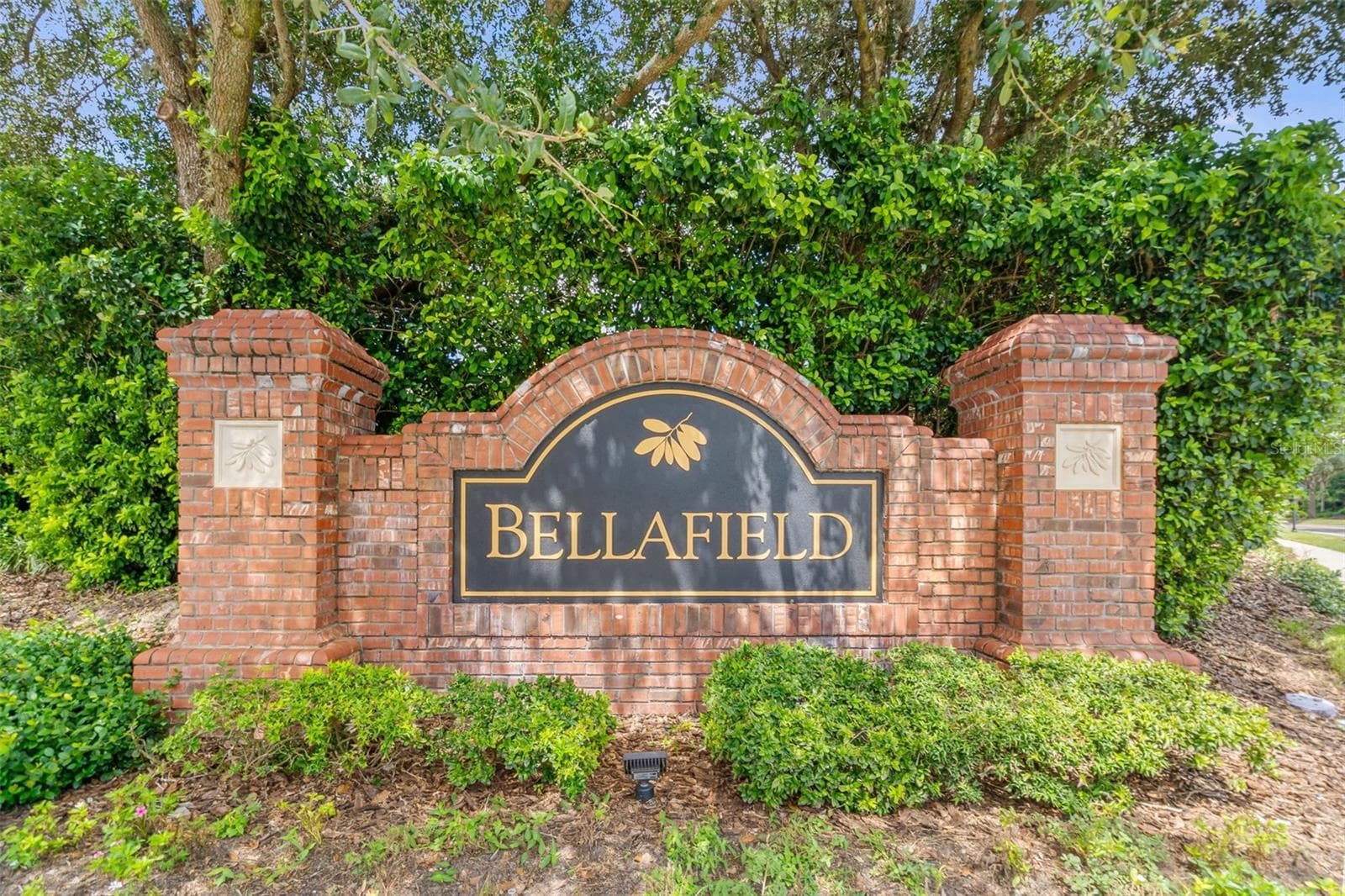 Subdivision - 4432 VERMILLION SKY DR, WESLEY CHAPEL