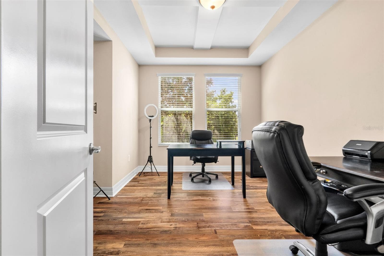 Office or Dining - 4432 VERMILLION SKY DR, WESLEY CHAPEL