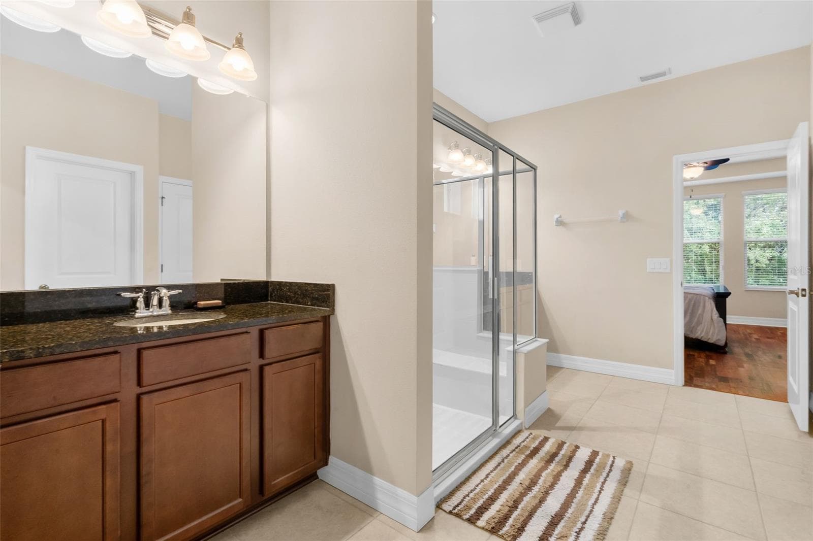 Master Bathroom - 4432 VERMILLION SKY DR, WESLEY CHAPEL
