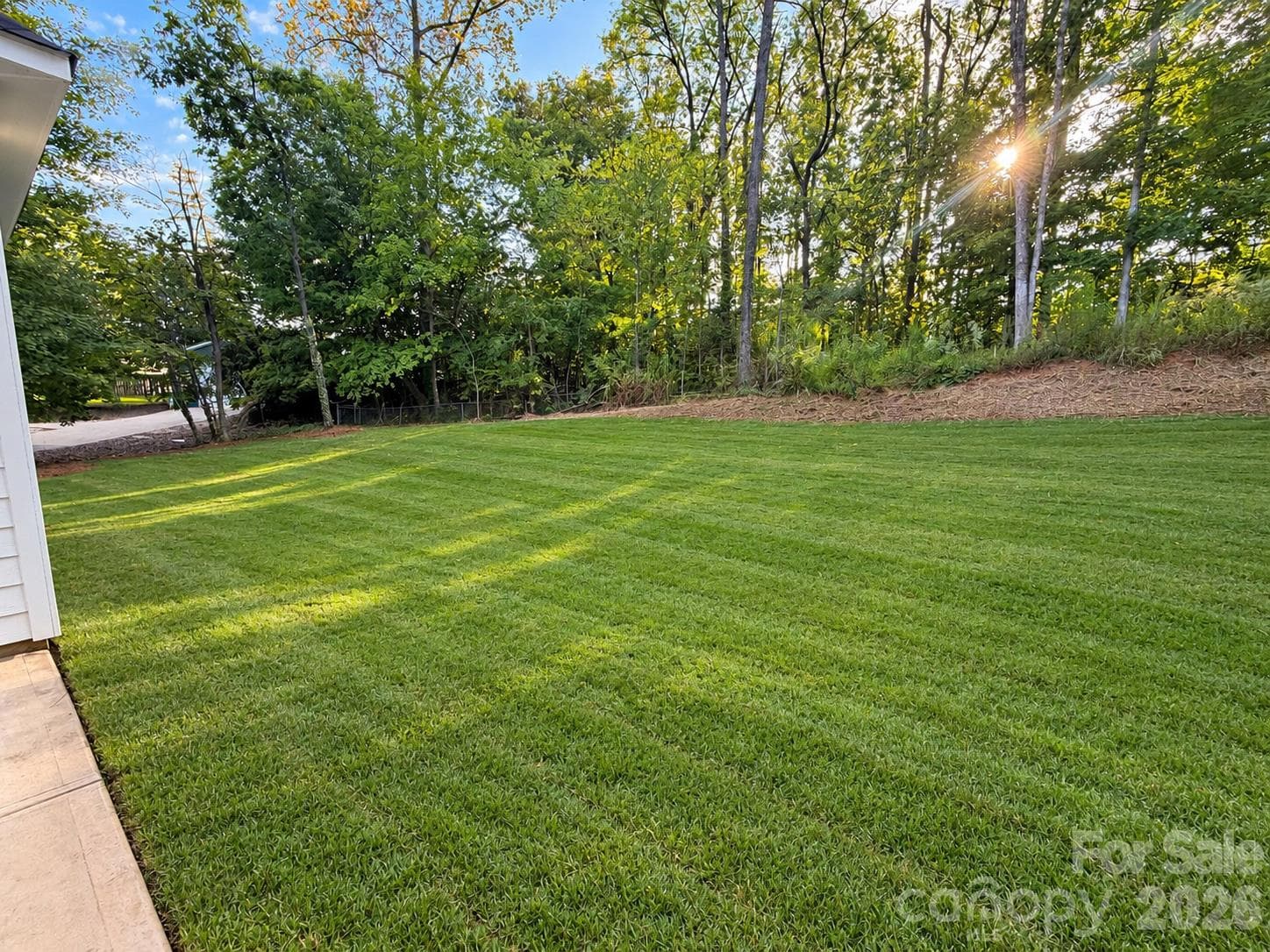 Spacious Yard - 548 Carolyn Lane, Charlotte