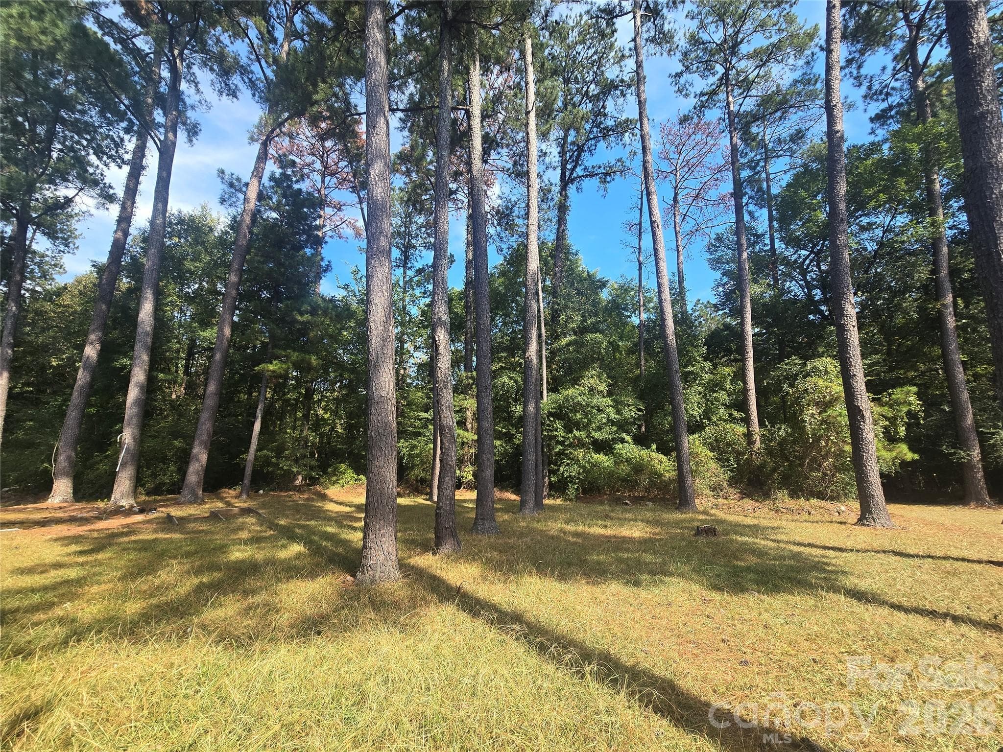 BACK YARD BUFFERED AREA, PERFECT FOR GARDEN OR PIT FIRES ON COOL NIGHTS - 620 Mcdowell Drive, Chester