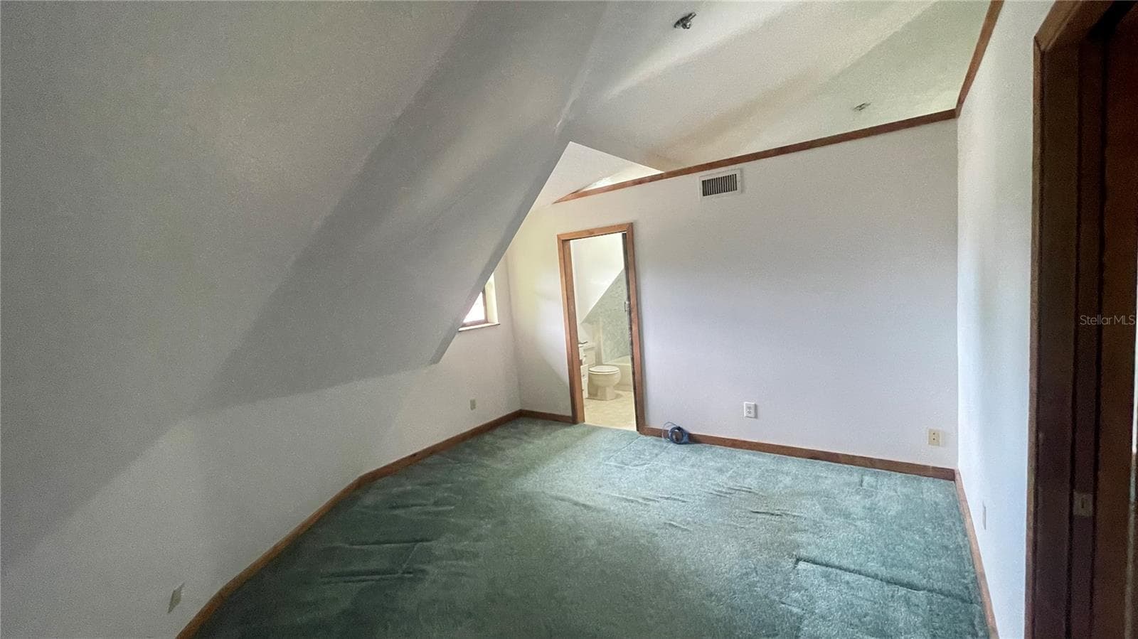 Bonus room - 21004 NEGRIL CT, LUTZ