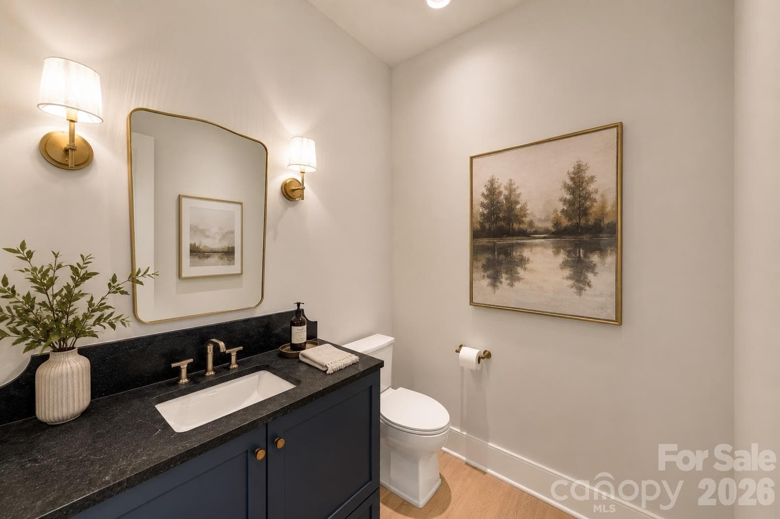 Downstairs powder bath for guest (1 bathroom out of 3 down on the main level - 125 Randstone Court, Charlotte