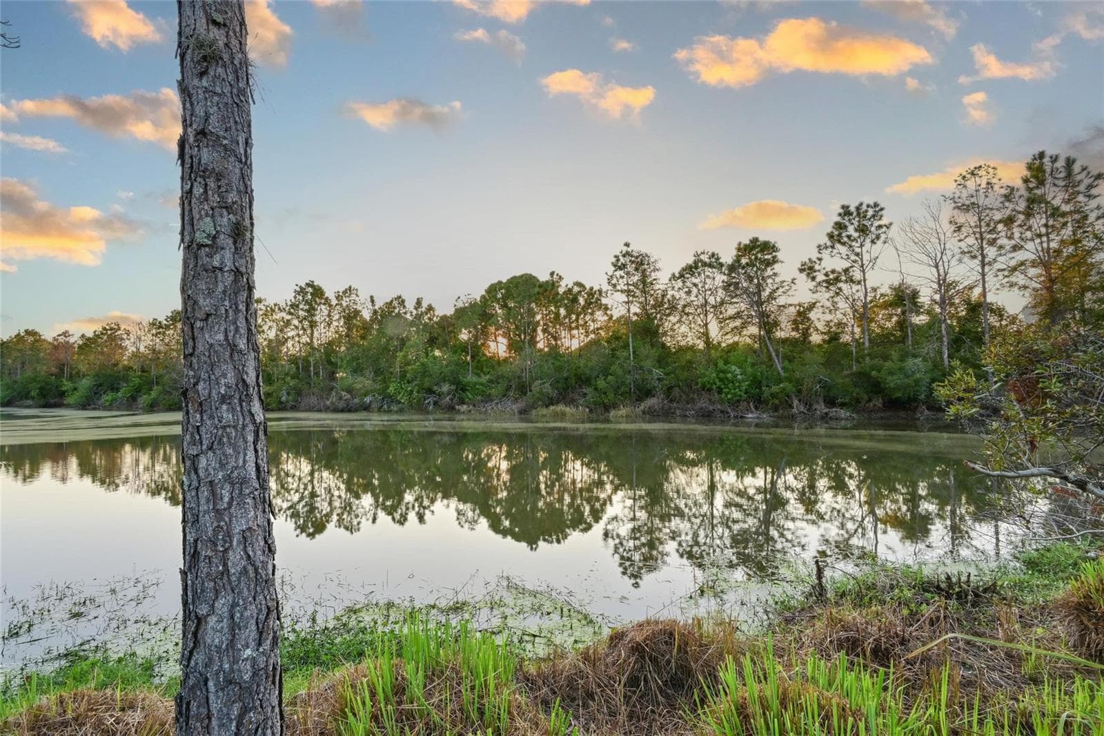 Single Family Residence at 2811 130TH AVE E, PARRISH, photo 21 of 58