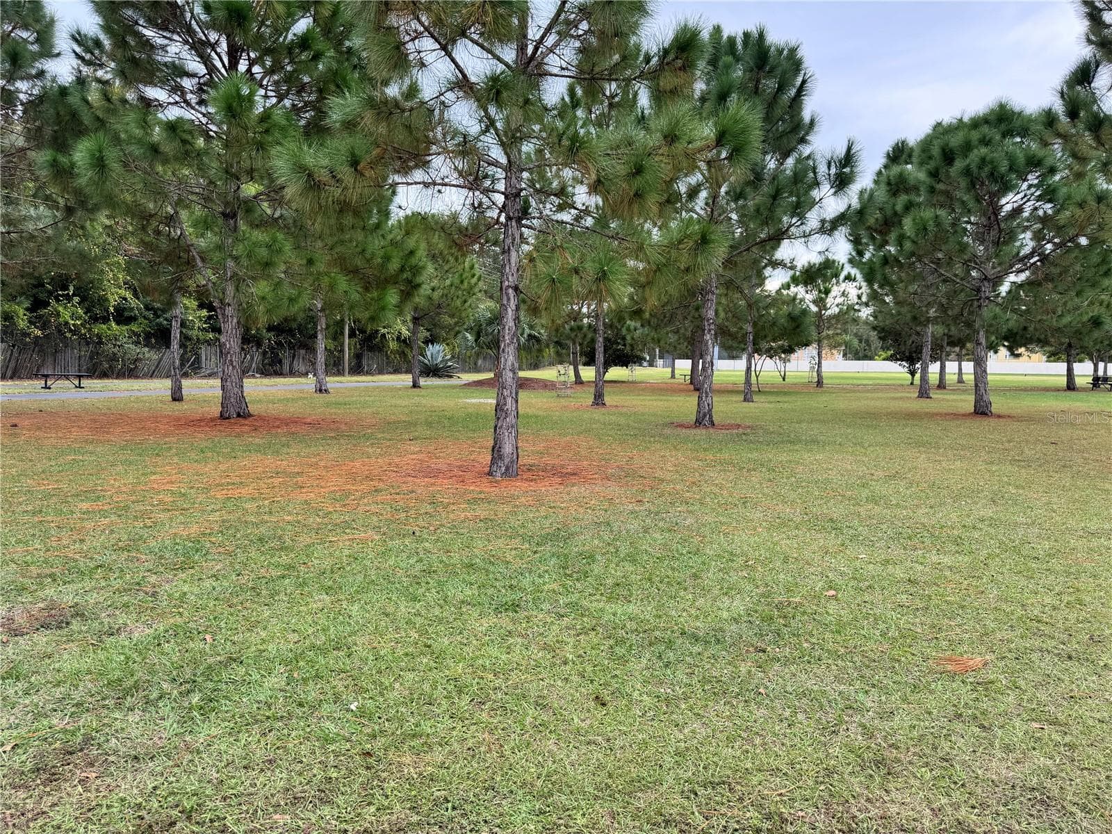 Single Family Residence at 4858 KINGSTON CIR, KISSIMMEE, photo 37 of 42