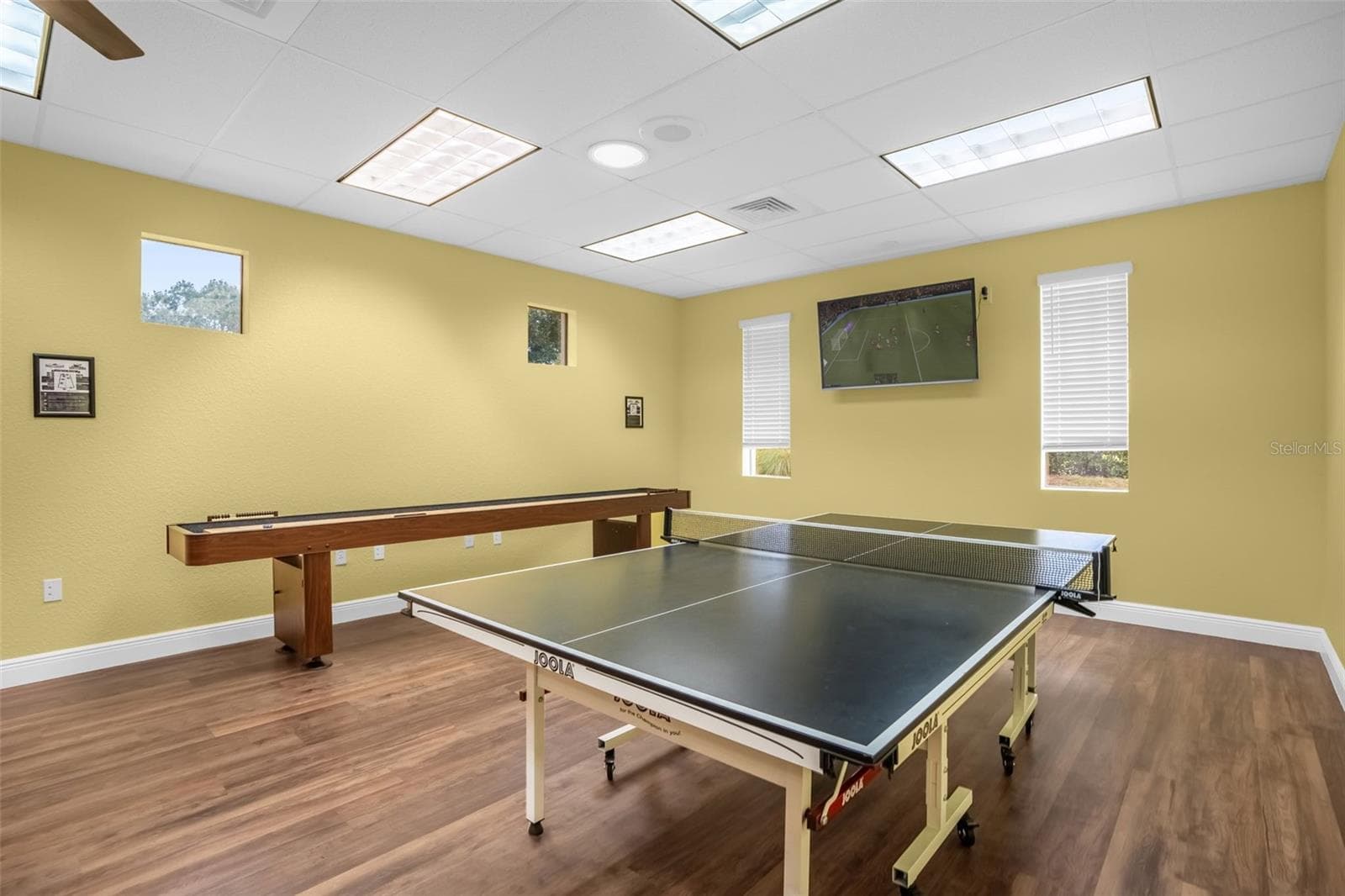 Arlington Ridge Community Game Room-Table Tennis & Shuffleboard - 4711 HERITAGE TRL, LEESBURG