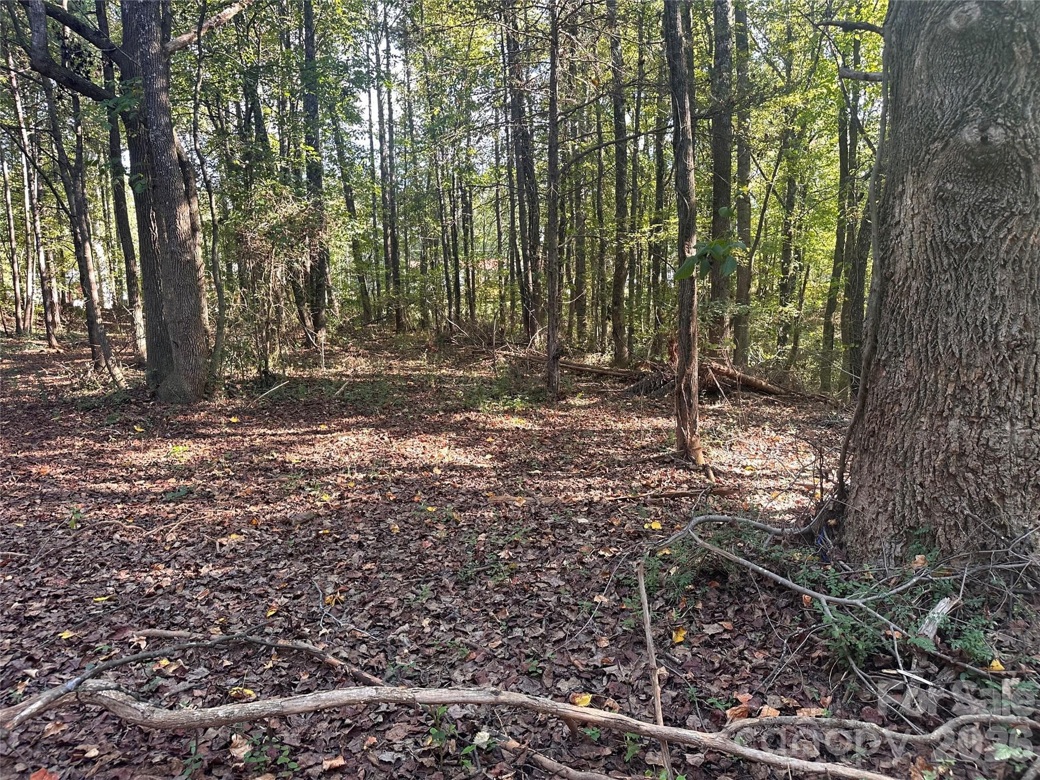 86 Sunrise Trail