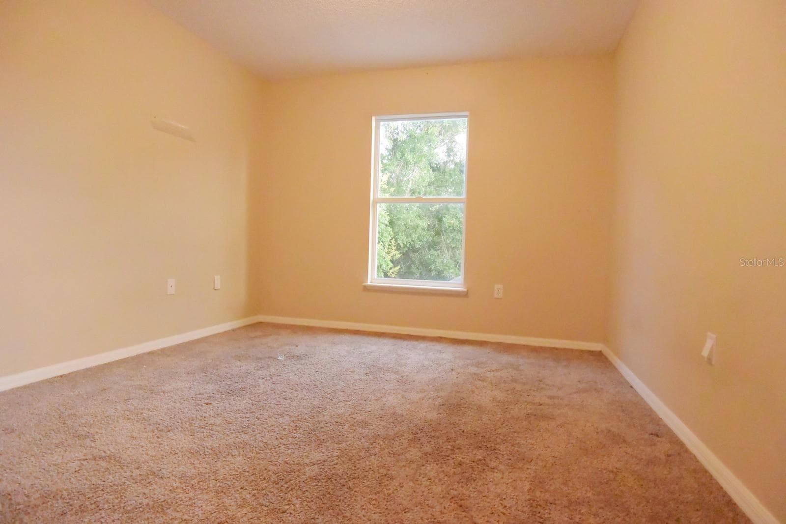 Single Family Residence at 13196 DELBARTON ST, SPRING HILL, photo 41 of 46