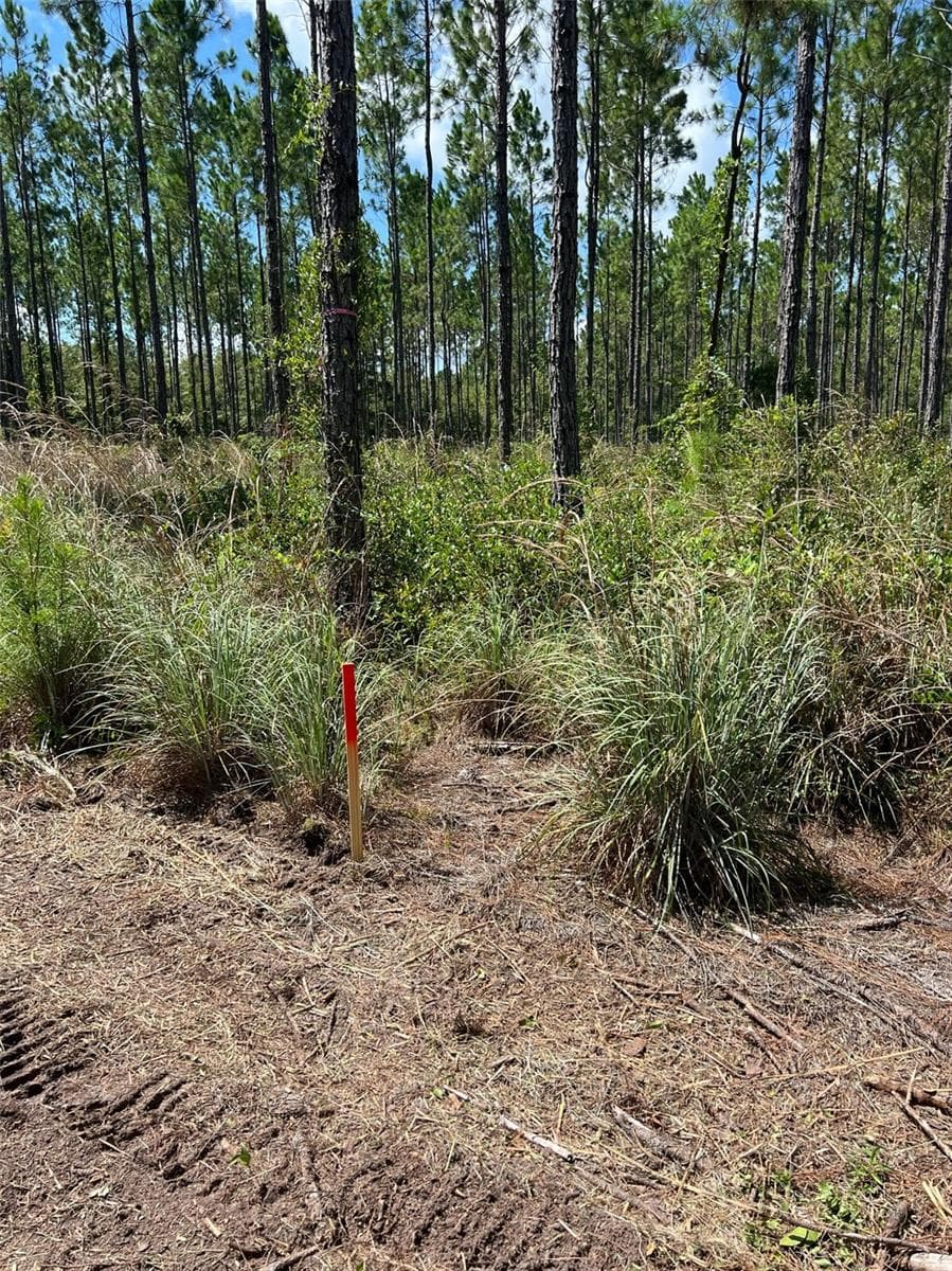 Land at Combined Lots 3 & 4 SE FAMILY RD, LAKE CITY, photo 3 of 9