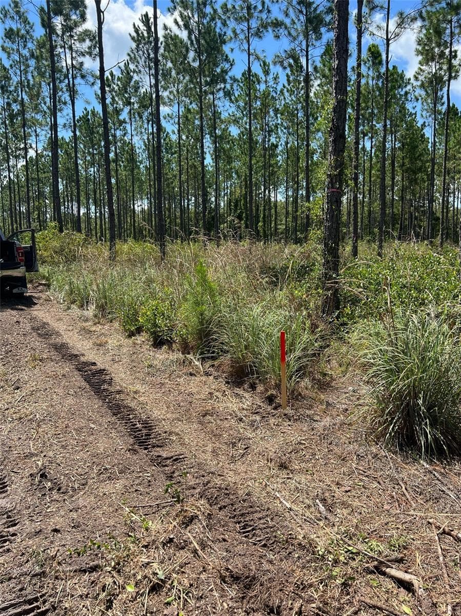Land at Combined Lots 3 & 4 SE FAMILY RD, LAKE CITY, photo 4 of 9