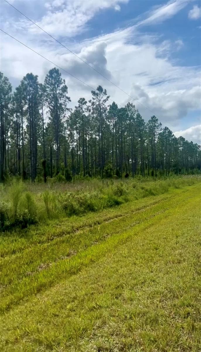 Land at Combined Lots 3 & 4 SE FAMILY RD, LAKE CITY, photo 6 of 9