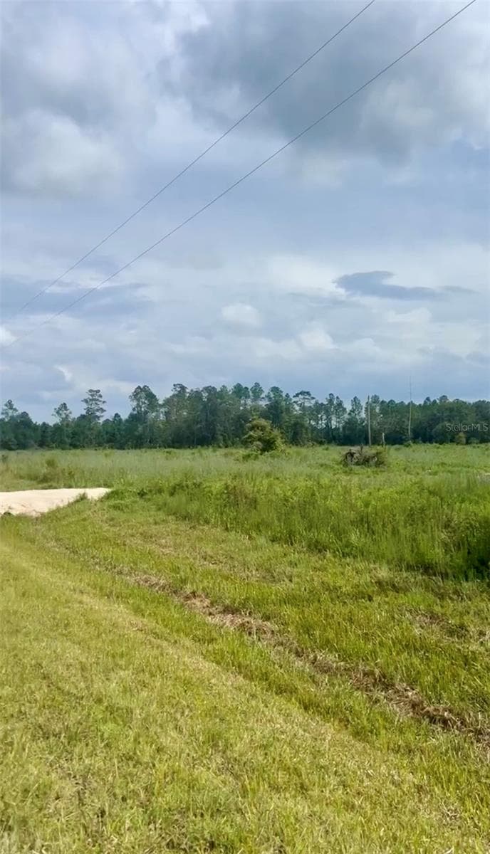 Land at Combined Lots 3 & 4 SE FAMILY RD, LAKE CITY, photo 7 of 9