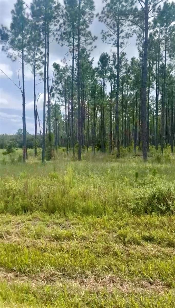 Land at Combined Lots 3 & 4 SE FAMILY RD, LAKE CITY, photo 8 of 9