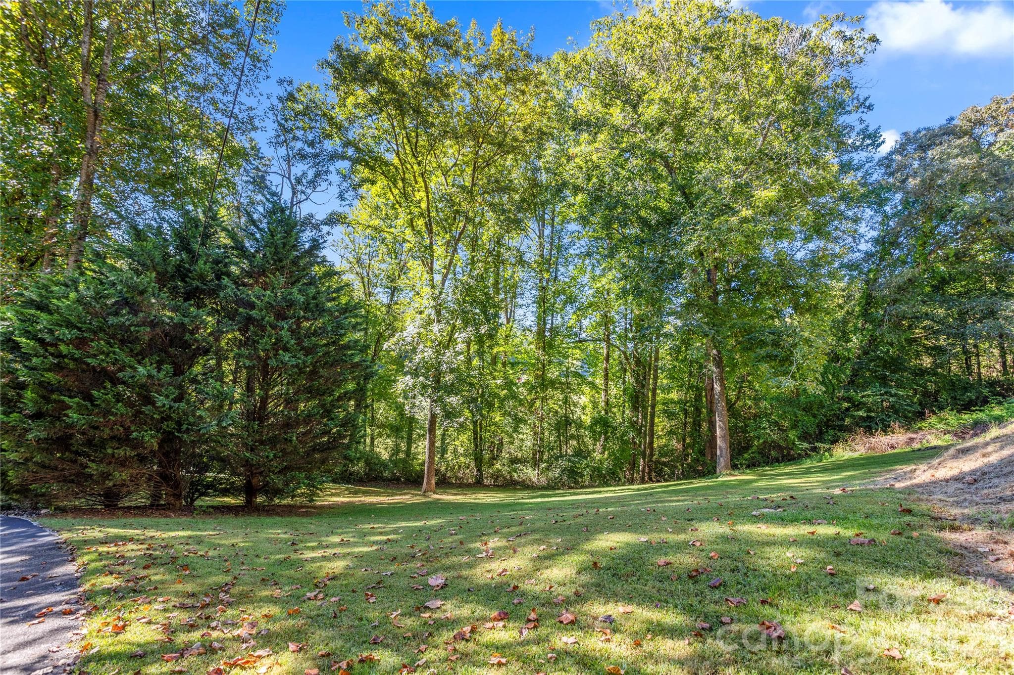 Single Family Residence at 183 Gobbler Circle, Horse Shoe, photo 20 of 30