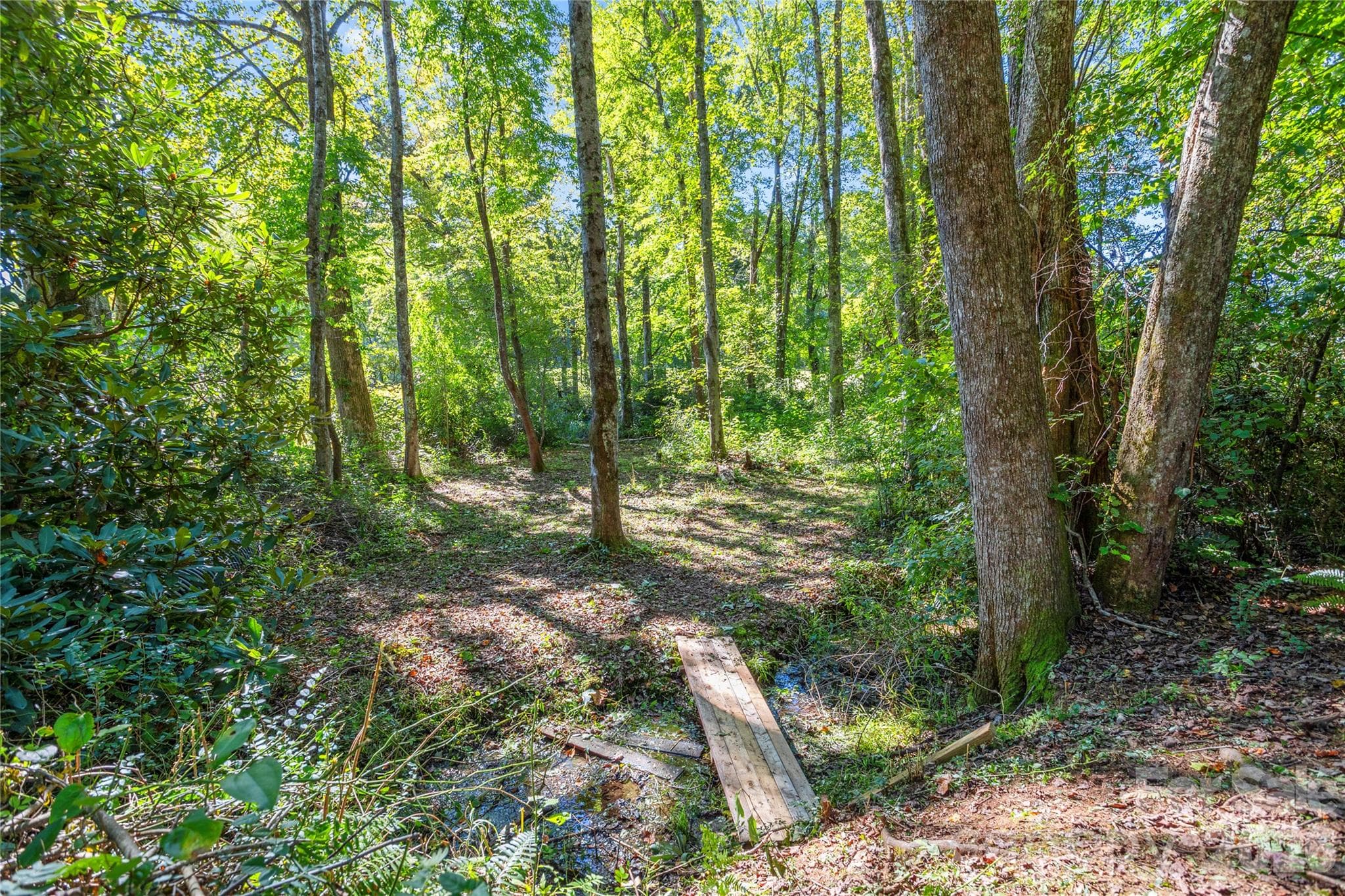 Creek on the property adds to the wooded setting. - 183 Gobbler Circle, Horse Shoe