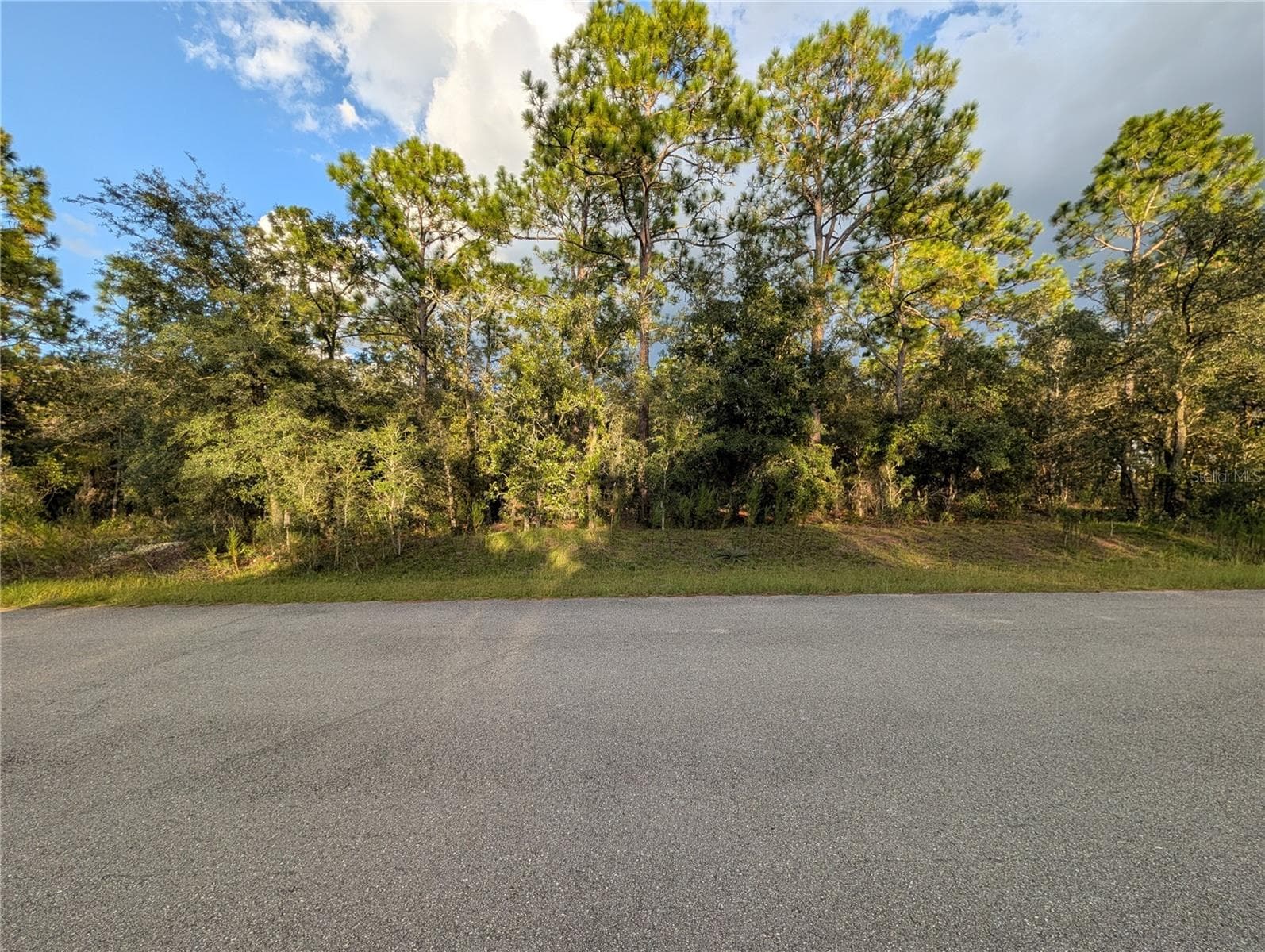 NW BUENA VISTA RD