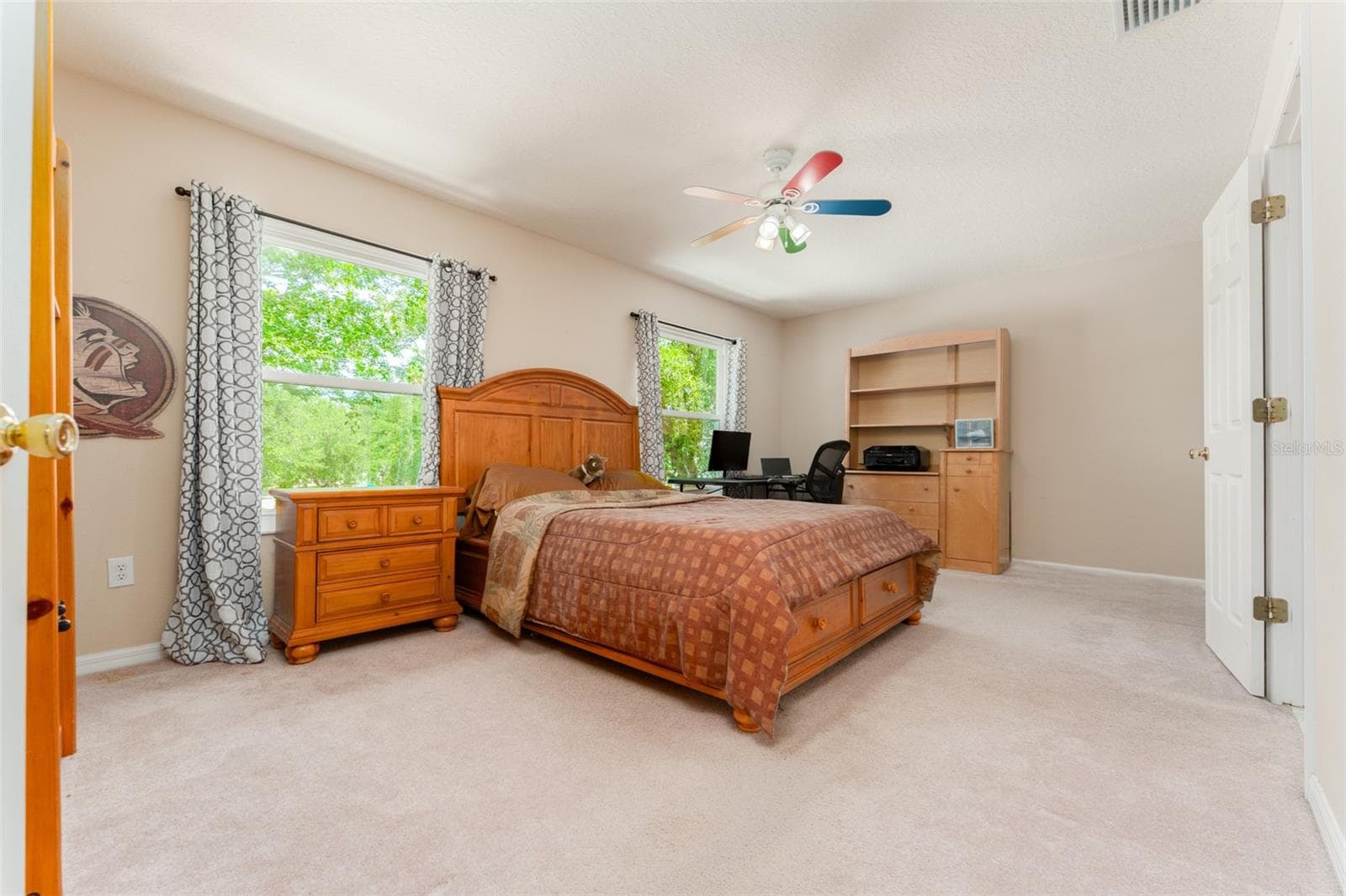 Bedroom 2 - 6302 BRIDGEVISTA DR, LITHIA
