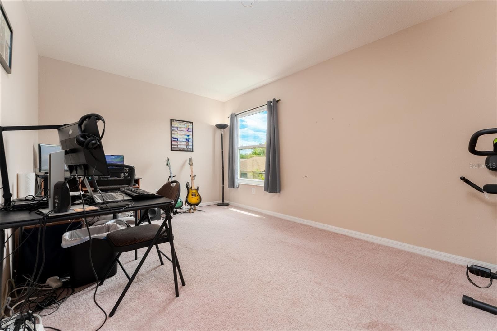 Bedroom 4 - 6302 BRIDGEVISTA DR, LITHIA