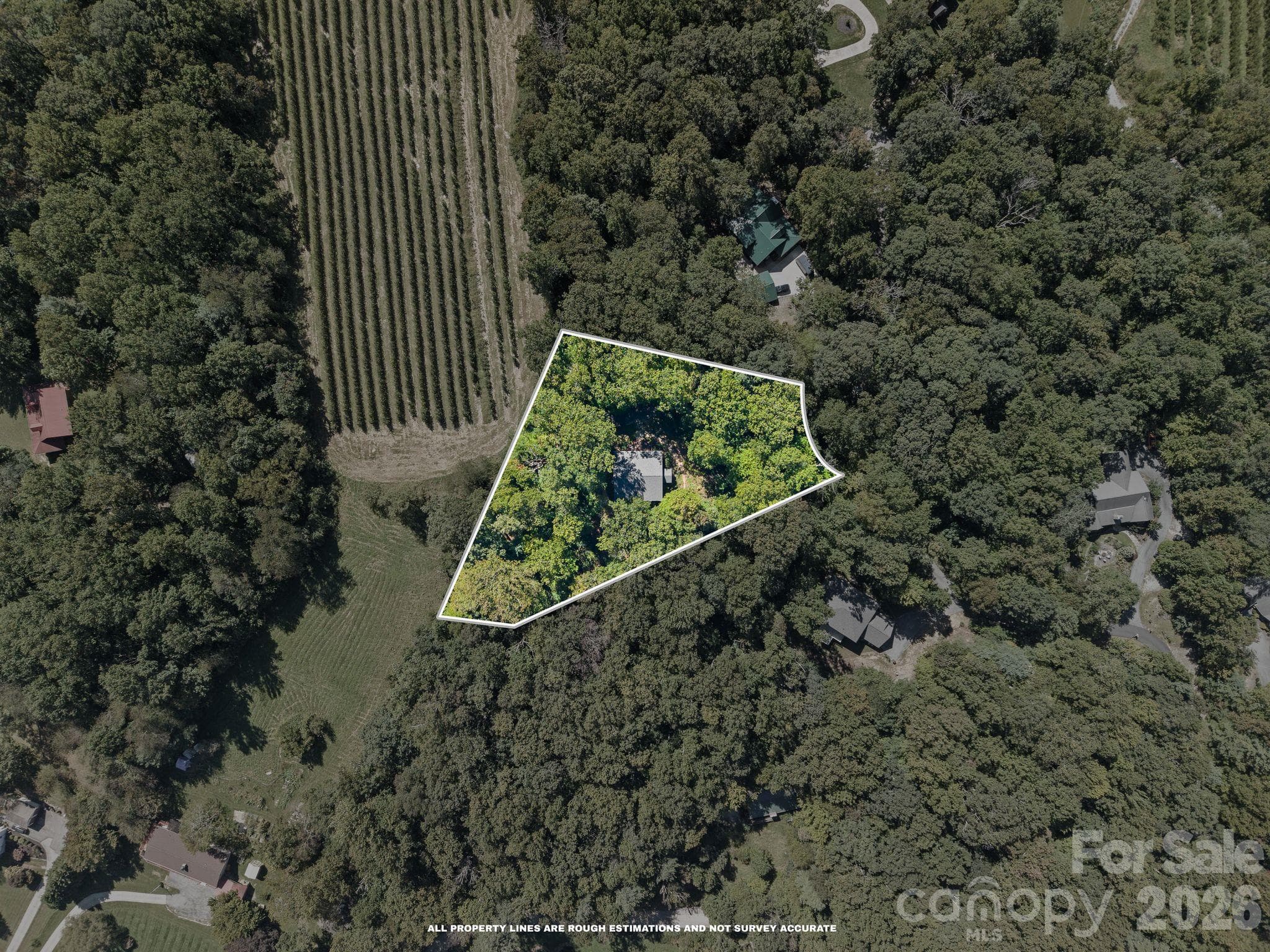 1.68 private, wooded acres - 179 Woodlyn Etch Drive, Hendersonville