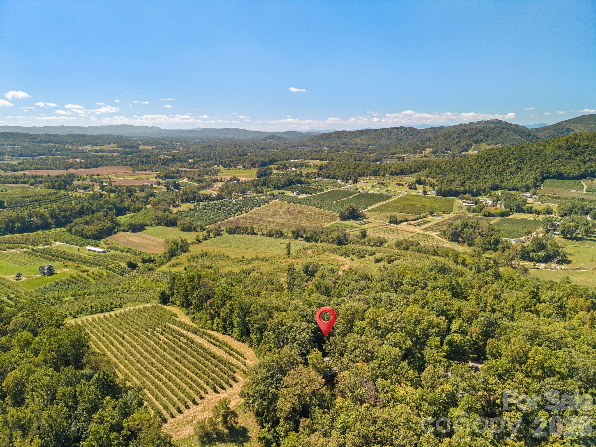 Set in the heart of Hendersonville's Apple Country - 179 Woodlyn Etch Drive, Hendersonville