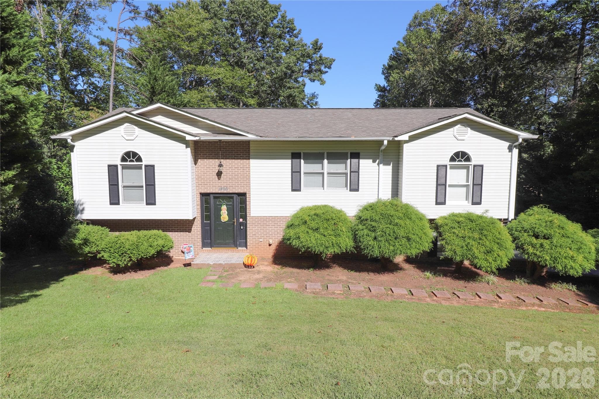 1896 Timber Trace
