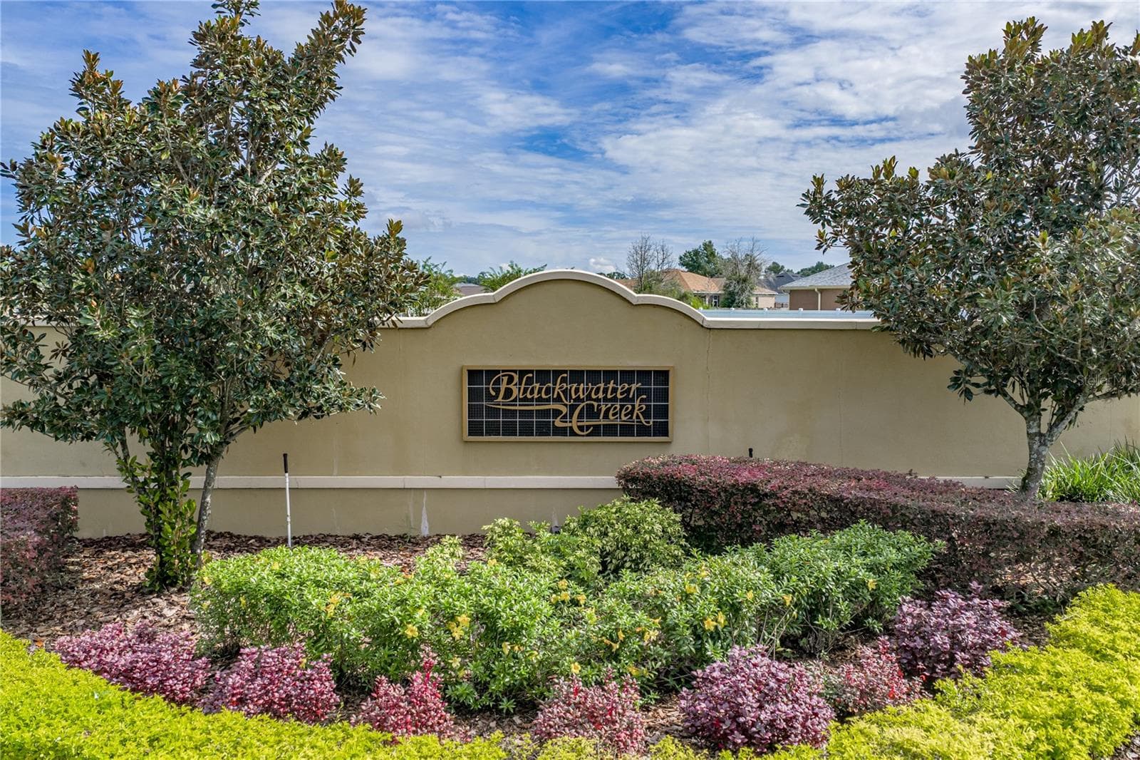 Single Family Residence at 2909 BLACKWATER CREEK DR, LAKELAND, photo 46 of 47