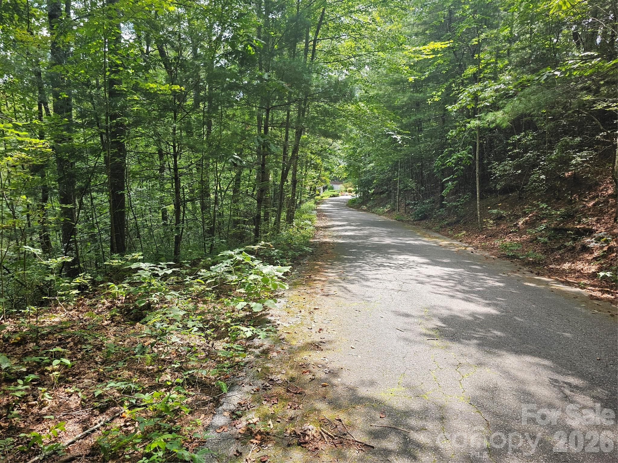 Lot at Hendersonville, photo 2 of 92