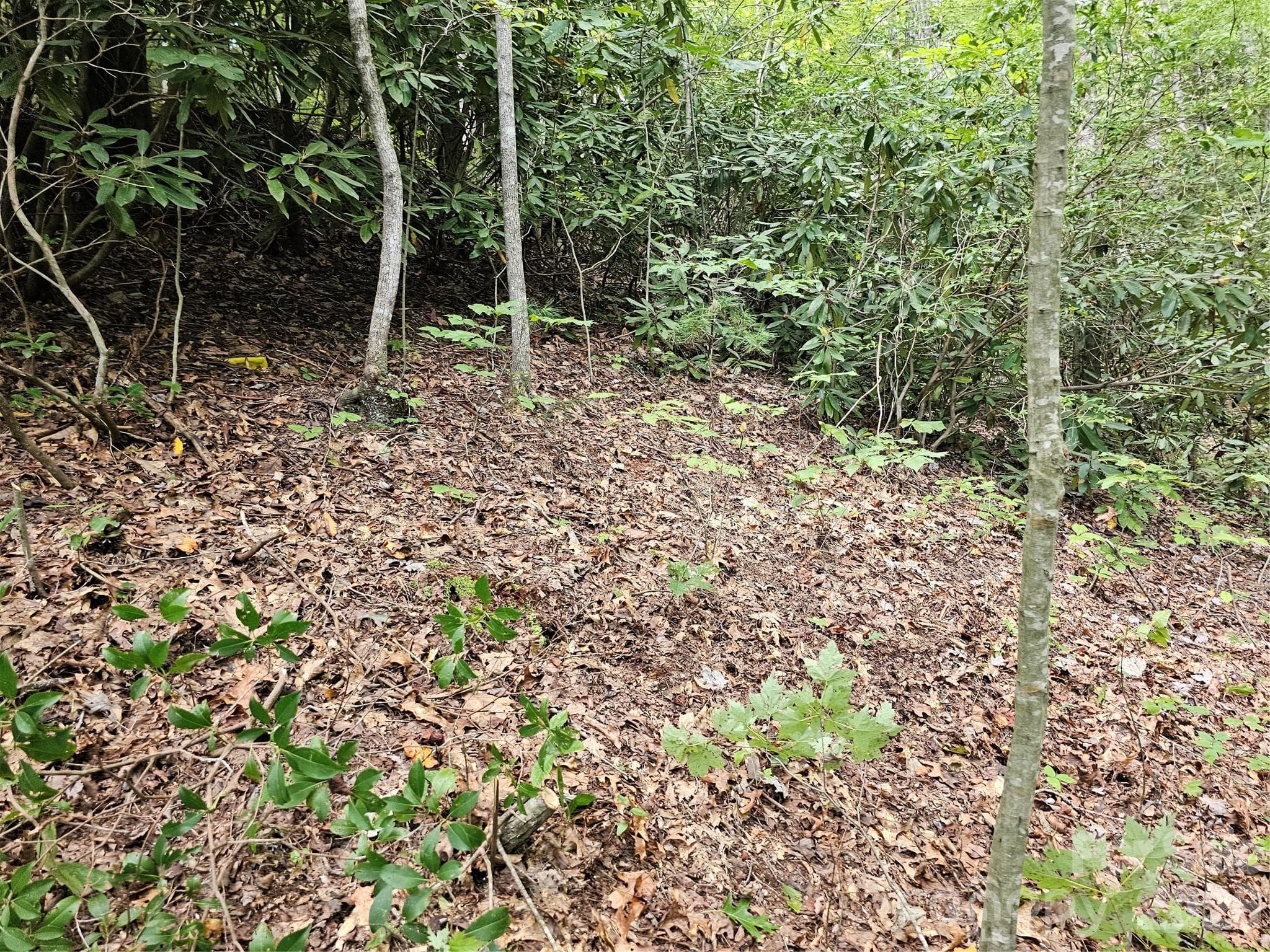 Lot at Hendersonville, photo 8 of 92
