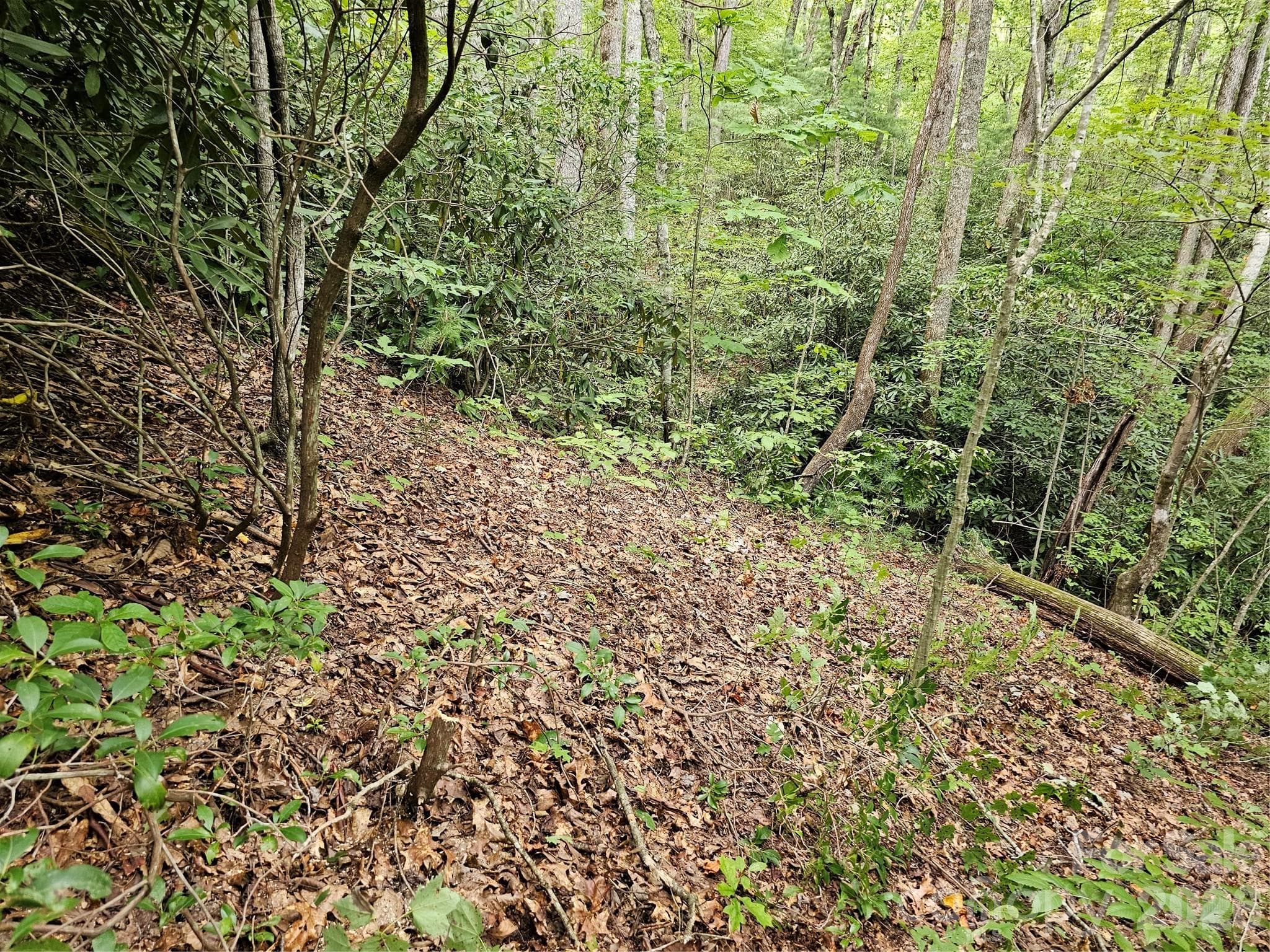 Lot at Hendersonville, photo 10 of 92